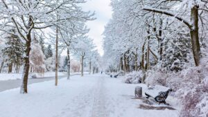 Has it ever snowed in Brisbane