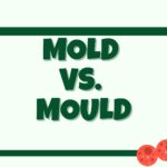 Mold vs. Mould