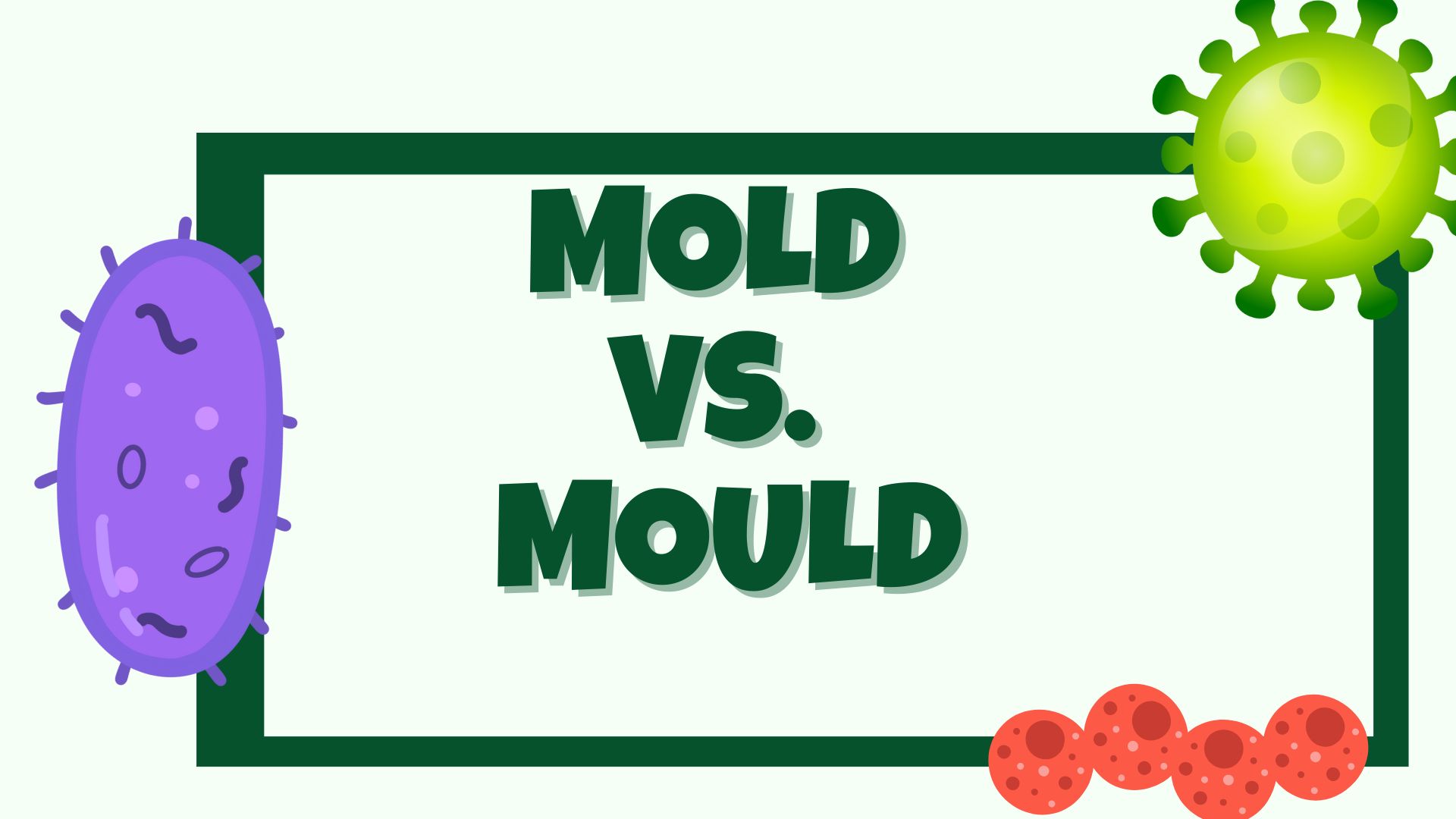 Mold vs. Mould